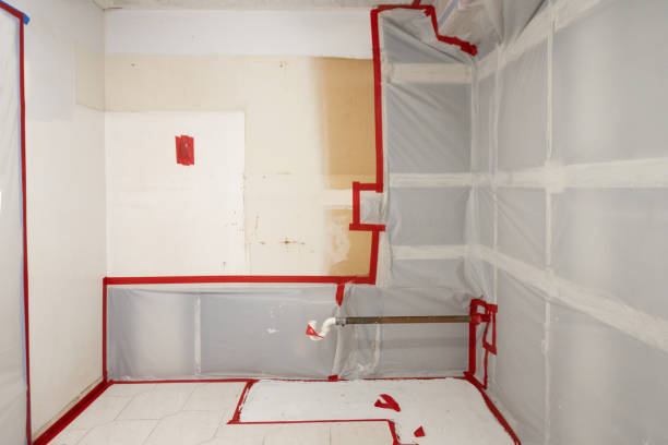 Environmental Consulting for Mold Prevention in Hillcrest, NY
